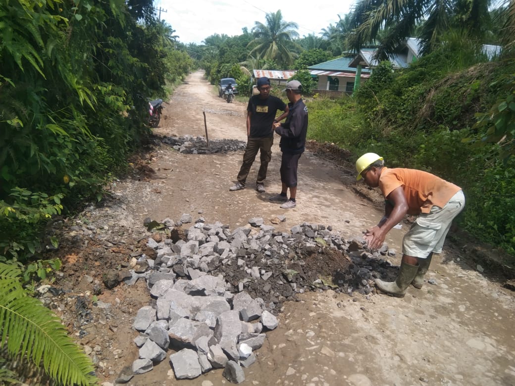 Foto : Kegiatan Perbaikan Jalan Desa Padang Pulau Menuju Desa Gajah Sakti