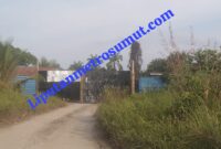 Foto : Gudang Mafia Inti Sawit Diduga Tanpa Memiliki Izin Bebas Beroperasi Di Jalinsum Desa Pulau Maria