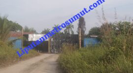 Foto : Gudang Mafia Inti Sawit Diduga Tanpa Memiliki Izin Bebas Beroperasi Di Jalinsum Desa Pulau Maria