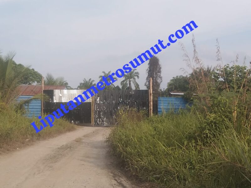 Foto : Gudang Mafia Inti Sawit Diduga Tanpa Memiliki Izin Bebas Beroperasi Di Jalinsum Desa Pulau Maria
