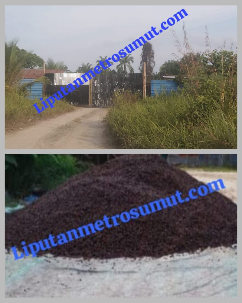 [Foto : Gudang Mafia Inti Sawit Ilegal Masih Tetap Beroperasi 