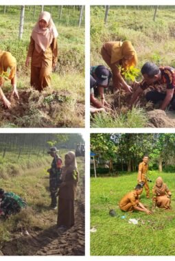 Memperingati Hari Sejuta Pohon Dinas Lingkungan Hidup Bersama Kecamatan Dolok Batu Nanggar Bergotong Royong Menanam Pohon