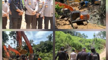 Polda Sumut Bongkar Tambang Emas Ilegal Beromzet Miliaran, 17 Orang dan 14 Ekskavator Diamankan