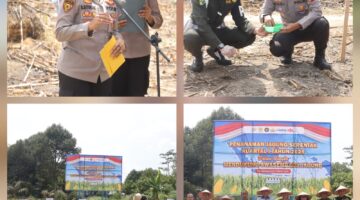 Kapolres Polres Pematangsiantar Bersama Forkopimda Tanam Jagung Serentak Kuartal 1 Tahun 2026 