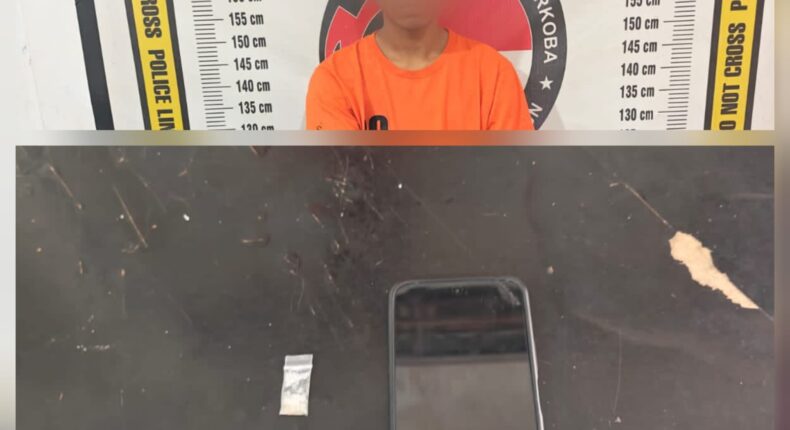 foto slider headline