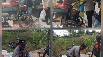 Dukung Swasembada Pangan, Bhabinkamtibmas Polsek Siantar Barat Sambangi Ladang Jagung Warga Binaan