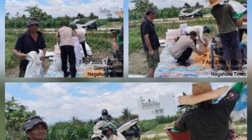 Dukung Ketapang,Polsek Siantar Marihat Monitoring Panen Jagung Warga Binaan