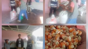 Polsek Siantar Marihat Dampingi Warga Binaan Jual Jagung ke Bulog Cabang Pematangsiantar