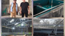 Foto : pertama di atas sebelah kiri Pangulu Bandar tinggi Samsiadi Purba dan Ketua BUMNag Edi, dan beberapa lokasi kolam budidaya pembesar ikan nila. 