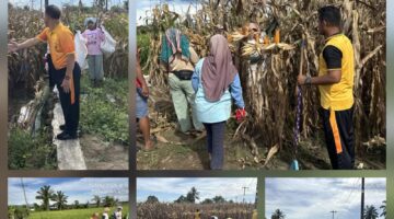 Kapolsek Tanah Jawa Pimpin Langsung Apel Korve Panen Raya Jagung Serentak Kuartal II 2026, Polri Hadir Nyata di Tengah Masyarakat Tani