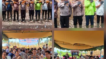 Dipimpin Langsung Presiden Prabowo secara Virtual, Polres Simalungun Sukseskan Panen Raya Jagung Serentak Kuartal II 2026 di Nagori Muara Mulia