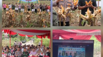 Polres Pematangsiantar Ikuti Zoom Meeting Panen Raya Jagung Serentak Kuartal II