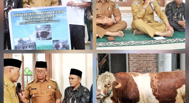 foto slider headline