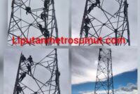 Foto istimewah : tampak pekerja melakuka aktifitas di ketinggian tampa APD. 