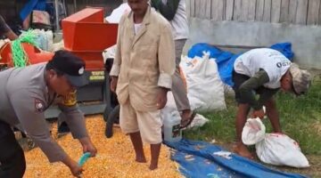 Dukung Ketapang, Bhabinkamtibmas Polsek Siantar Marihat Hadir Bersama Petani Binaaan