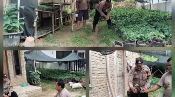 Bhabinkamtibmas,Sambangi Warga Binaan Manfaatkan Pekarangan Rumah Tanam Tanaman Produktif