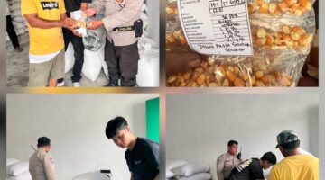 Polsek Siantar Selatan Dampingi Penjualan Hasil Panen Jagung Petani Binaan ke Bulog Cabang Pematangsiantar 
