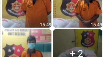 Polsek Sei Bingai Amankan Pelaku Pencurian Terhadap Pakan Ternak Di Desa Gunung Ambat