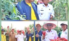 berita-pilihan-foto