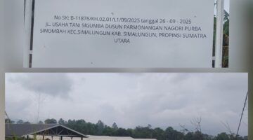 Diduga Beroperasi Nyaris Dua Tahun Saat Izin Lingkungan Masih Diproses, Peternakan 6.000 Ekor Babi PT SKP Picu Protes Warga: APH Diminta Turun Tangan
