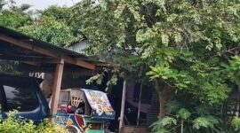 Foto : rumah TS diduga tempat transaksi barang haram jenis sabu. 