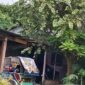Foto : rumah TS diduga tempat transaksi barang haram jenis sabu. 