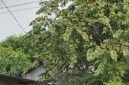 Foto : Markas lokasi yang diduga menjadi transaksi penjualan Sabu. 