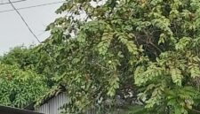 Foto : Markas lokasi yang diduga menjadi transaksi penjualan Sabu.