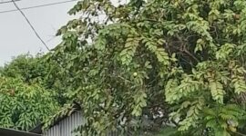 Foto : Markas lokasi yang diduga menjadi transaksi penjualan Sabu. 