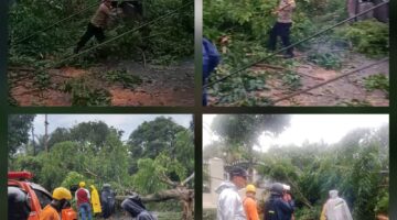 Polsek Siantar Martoba Respon Cepat Bantu Pembersihan Pohon Tumbang Diwilkumnya