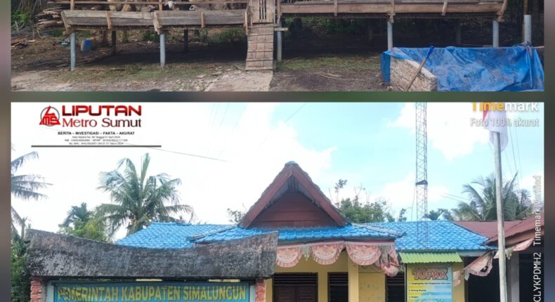 foto slider headline