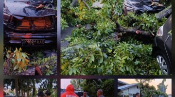 Polsek Siantar Timur Bersihkan Pohon Tumbang di Jalan Danau Maninjau
