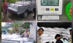 Polsek Siantar Selatan Dampingi Penjualan Jagung Petani Binaan ke Bulog Cabang Pematangsiantar 