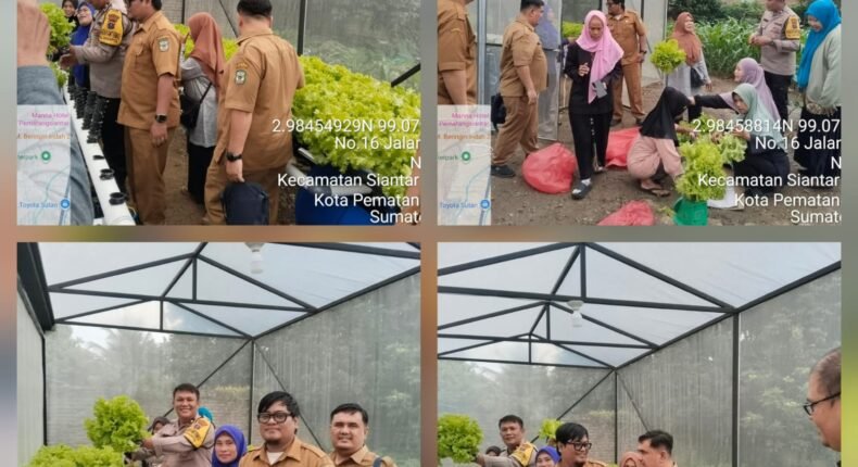 foto slider headline