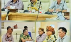Dukung Pengembangan PLTS dan BESS, Bupati Simalungun Berharap Dapat Berikan Kontribusi PAD