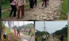 Semangat Kebersamaan, Kecamatan Dolok Batu Nanggar Gelar Gotong Royong Serentak Di 14 Nagori Dan 2 Kelurahan 